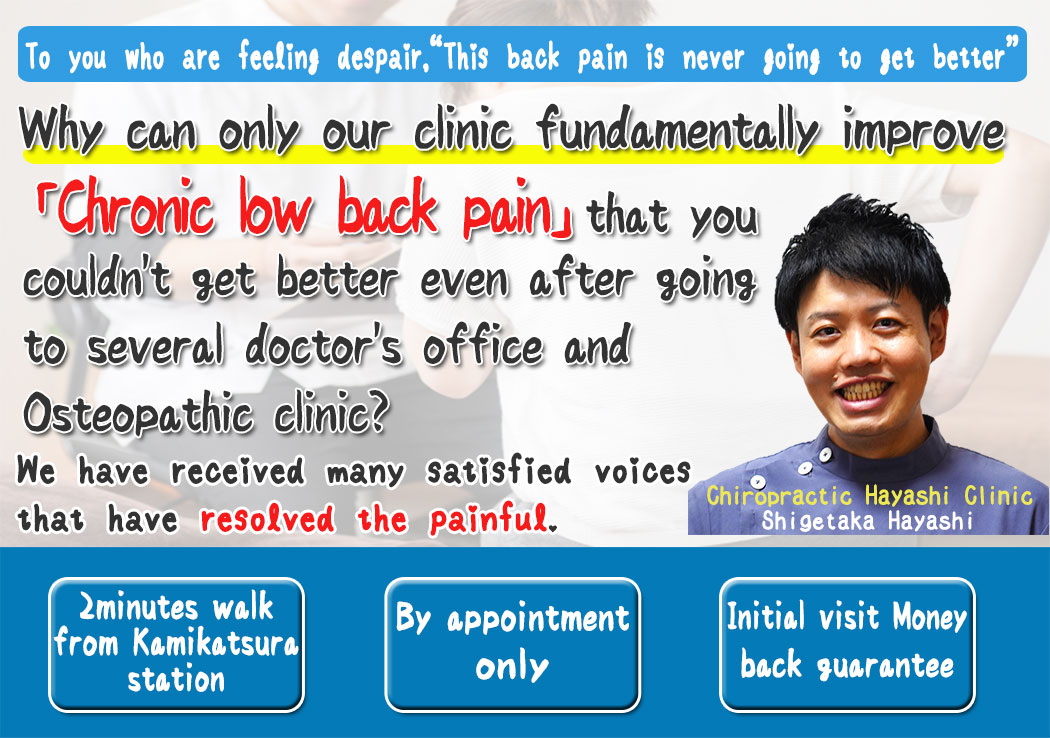 Kyoto city low back pain�bChiropractic and Osteopathy Kyoto Hayashi Clinic